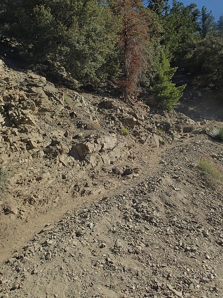 2014 Mt Baldy Cali 036.JPG - Summit Mt San Antonio (Mt Baldy) California